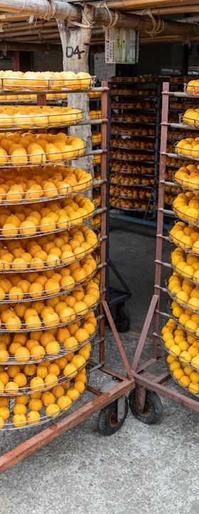 Rovema rüstet polnische Bäckerei mit Blockbodenbeutel-Maschine SBS 250 aus