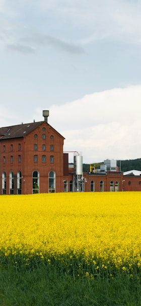 Ziemann Holvrieka wird offizieller Siemens Solution Partner